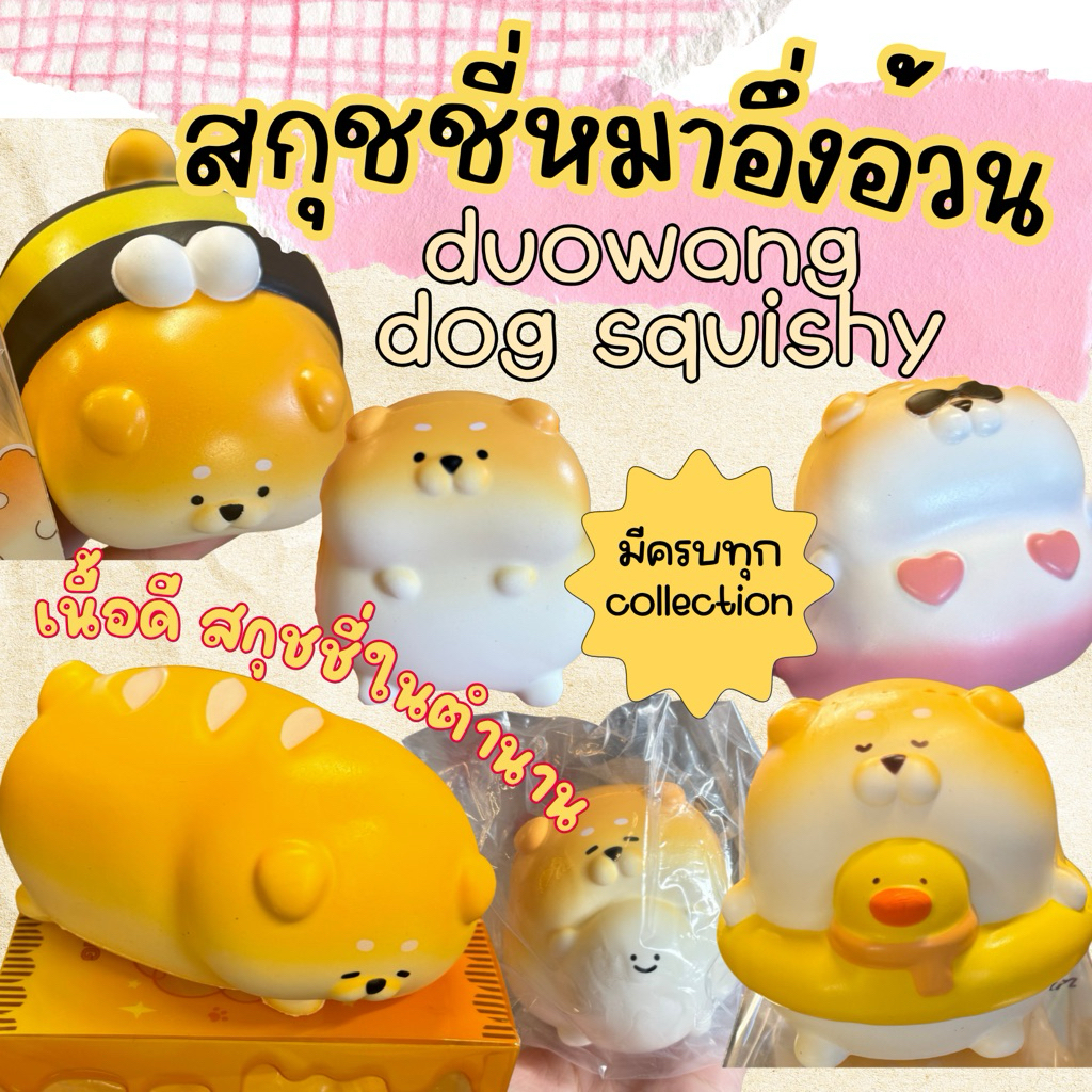 รวมสกุชชี่หมาอึ่งในตำนาน สกุชชี่หมาอ้วน เนื้อดีฟินมาก molynk