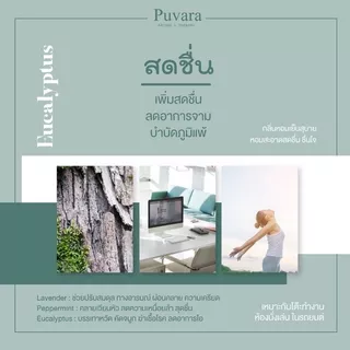 Puvara Refill Aroma for Car รีฟิลน้ำมันหอมระเหย สำหรับรถยนต์ สกัดจากธรรมชาติ 100% ขนาด 15-50 มล. มีให้เลือก 2 กลิ่น