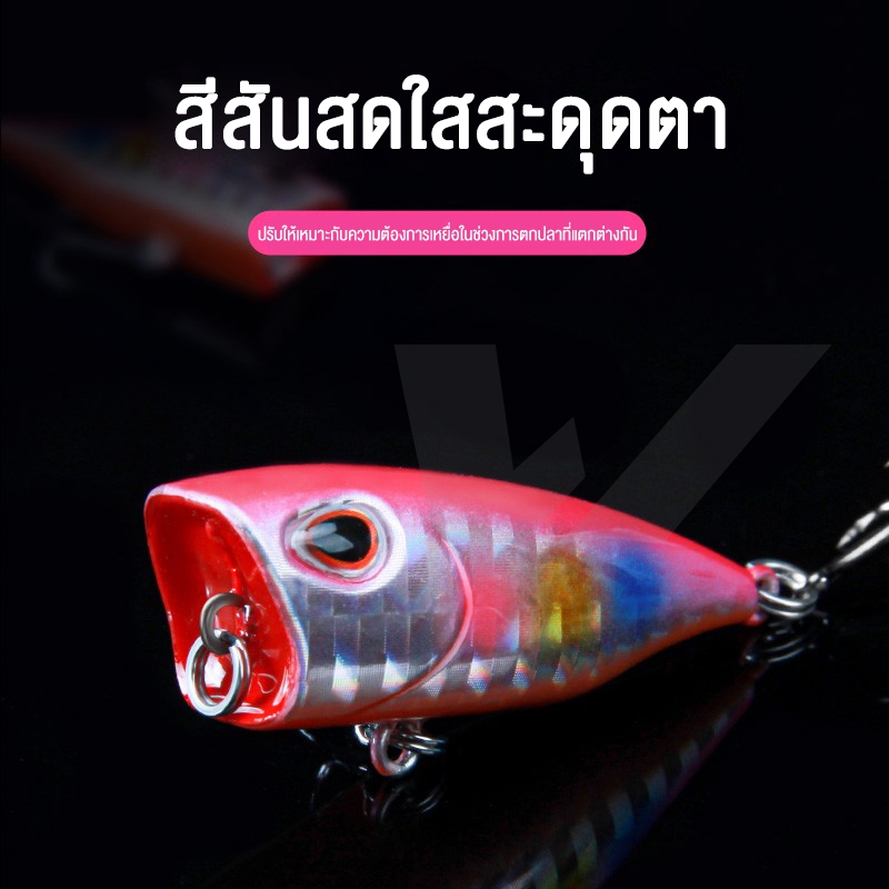Thumbnail 8