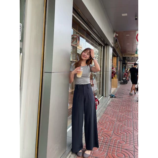 Side-Pleated Pants Dressupcorner DCN01307