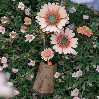 Rowood DIY Wooden Flower ดอกไม้ DIY ประกอบง่าย | ของแต่งบ้าน ชุดโมเดลตัวต่อไม้ ของเล่นศิลปะ DIY