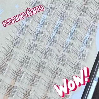 ขนตาปริมาณ 120 ดอก ไม่ต้องกาวติดเองใช้ง่ายเป็นธรรมชาติน่ารักแถมแหนบ