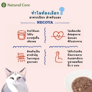 อาหารแมว Natural Core - Necoya อาหารเปียก แบบกระป๋อง เนื้ออาหารนุ่มชุ่มชื้นสูง นำเข้าจากเกาหลี 80 g