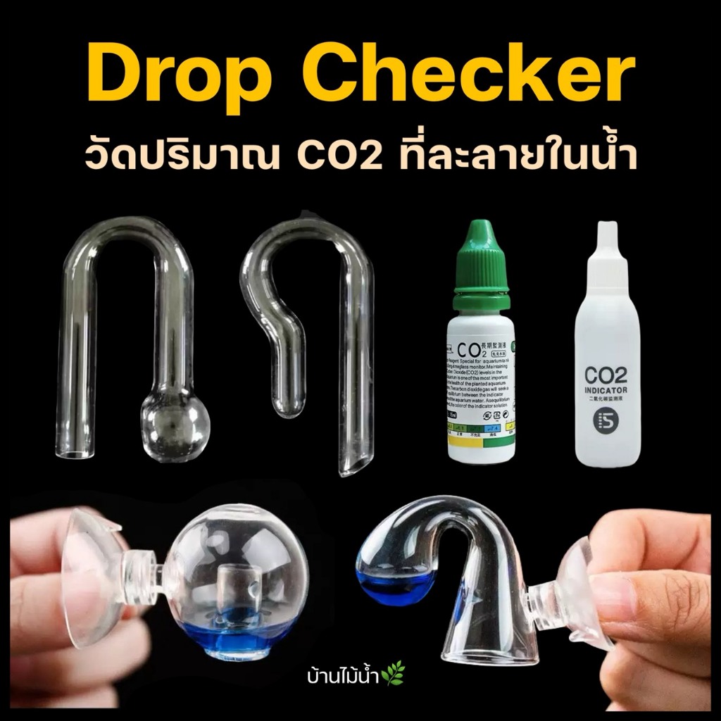 Drop Checker ดรอปเช็คเกอร์ วัดปริมาณ CO2 ที่ละลายในน้ำ ตู้ไม้น้ำ Aquapro  | บ้านไม้น้ำ🌿