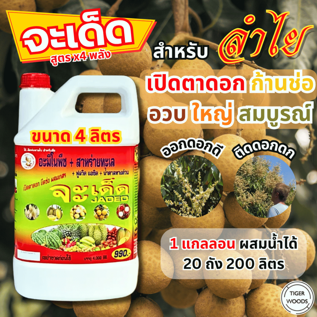 "จะเด็ด" 4 ลิตร ฉีดพ่นทางใบ สำหรับ "ลำไย" เปิดตาดอก ยึดช่อ ผสมเกสร บำรุงผลเล็ก