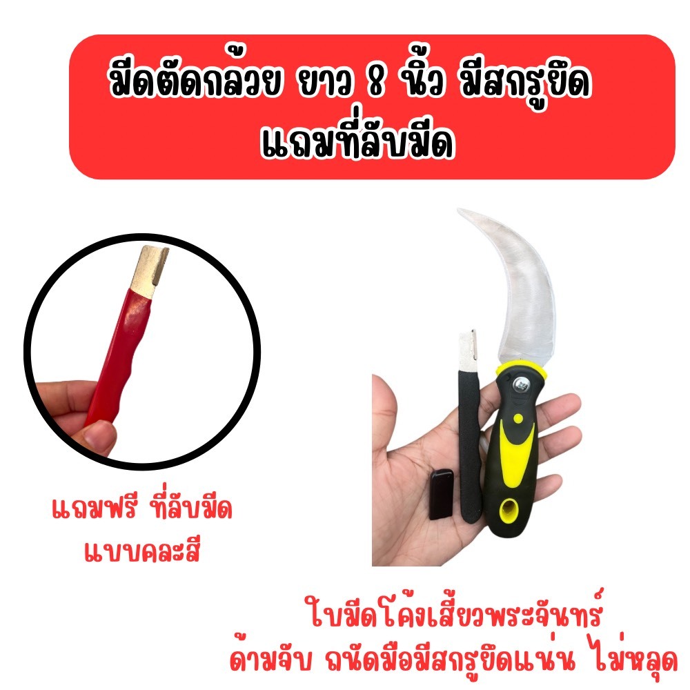 มีดตัดกล้วย แถมที่ลับมีด(คละสี)  มีดชักกล้วย มีดชัก สแตนเลส คม ด้ามยึดสกรูแน่น ไม่หลุด ความยาว 8 นิ้ว ไม่เป็นสนิม