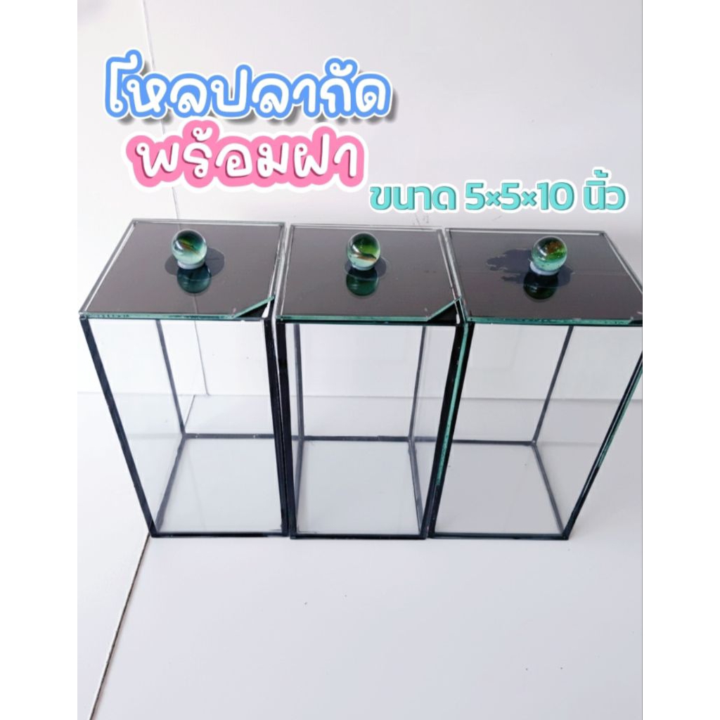 โหลปลากัดพร้อมฝา ใส3มม.5×5×10 นื้ว