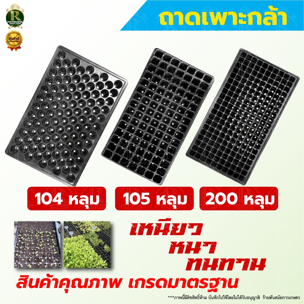 (ยกลัง 100ใบ) ถาดเพาะ ขนาด 104/105/200หลุม ถาดเพาะกล้า หนา  ทนทาน ใช้เพาะปลูกได้หลายรุ่น เพาะต้นกล้า
