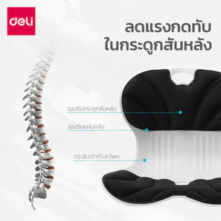 Deli เบาะนั่งรอง เบาะนั่งรองเพื่อสุขภาพ ปรับท่านั่ง มี 3 ขนาด น้ำหนักเบา พกพาสะดวก lumber Cushion