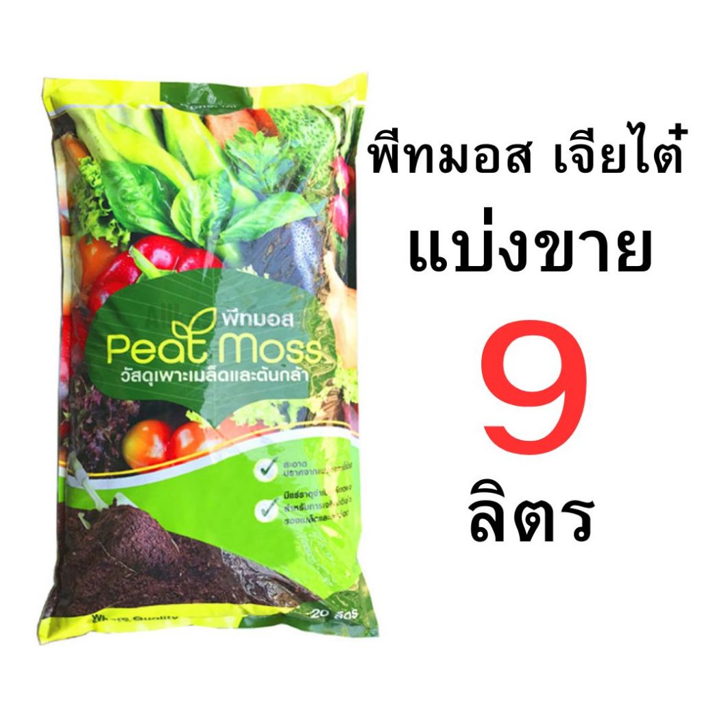 รูปภาพ 5