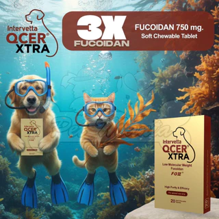 QCER XTRA สูตร Fucoidan 750 mg. (20 เม็ด) เลขทะเบียนอาหารสัตว์ 01088680117