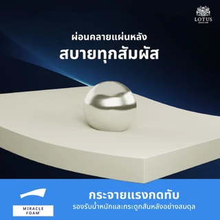 LOTUS รุ่น Premium I ที่นอนอัจฉริยะ เพื่อคนปวดหลัง แก้ปัญหาสรีระผิดรูป ป้องกันไรฝุ่น ส่งฟรี