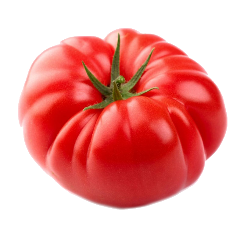 เมล็ดพันธุ์ มะเขือเทศ คอสโตลูโต ( Pearl Tomato Seeds) บรรจุ 200 เมล็ด คุณภาพดี - รูปที่ 2