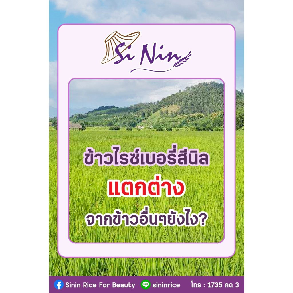 ข้าวไรซ์เบอร์รี่ สีนิล เกรดพรีเมี่ยม (1-5กก.) - รูปที่ 2