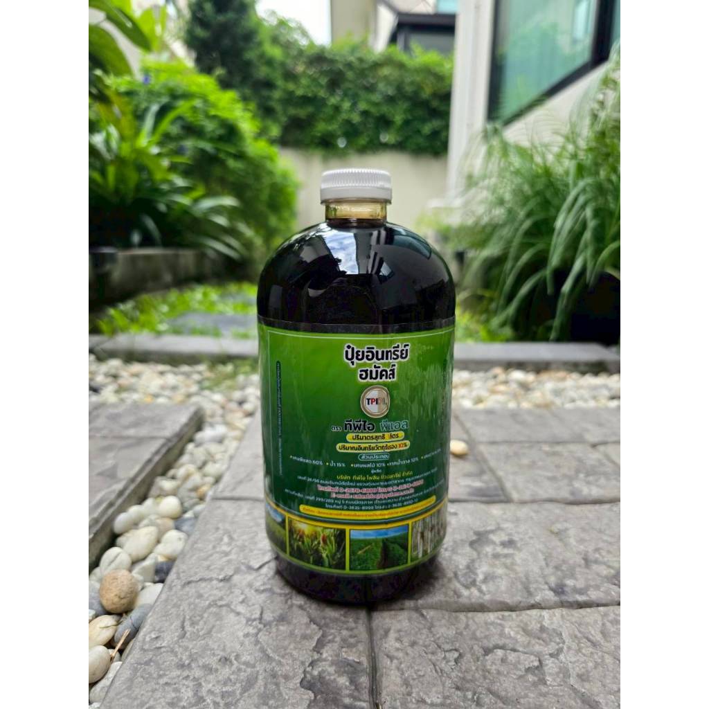 ((โฉมใหม่))ปุ๋ยเขียวTPI ปุ๋ยฮมัคส์ บำรุงพืช เร่งราก เร่งโต (สำหรับราดรดลงดิน) สินค้าคุณภาพจาก TPIPL - รูปที่ 2
