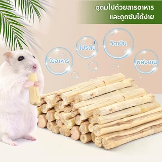 ไผ่หวาน Sweet Bamboo 500g ขนมลับฟัน ธรรมชาติ สำหรับ กระต่าย เม่นแคระ หนูแฮมเตอร์ และสัตว์ฟันแทะอื่น