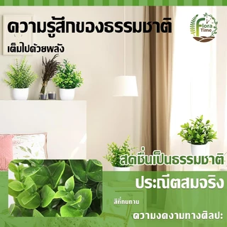 บอนไซเทียม ไม้ประดับ ดีไซน์โมเดิร์น ขนาดเล็ก สําหรับตกแต่งบ้าน สวน โต๊ะรับประทานอาหาร ห้องนอน
