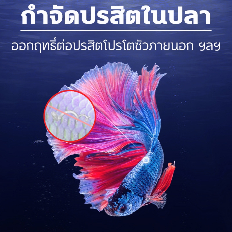 methylene blue สามารถรักษาโรคปลานับร้อยชนิดได้ ยารักษาปลาทอง  ไม่เป็นอันตรายต่อปลา ฆ่าเฉพาะเชื้อโร ยารักษาปลาเกล็ดพอง - รูปที่ 3