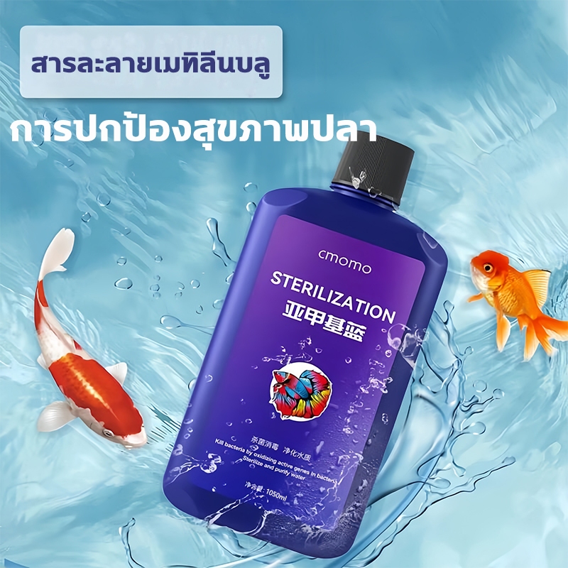 methylene blue สามารถรักษาโรคปลานับร้อยชนิดได้ ยารักษาปลาทอง  ไม่เป็นอันตรายต่อปลา ฆ่าเฉพาะเชื้อโร ยารักษาปลาเกล็ดพอง - รูปที่ 6