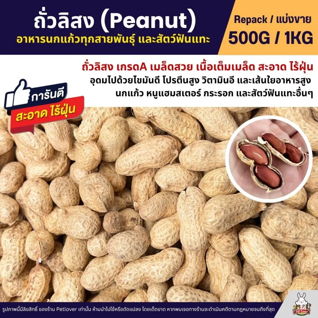 ถั่วลิสง Peanut เกรดA นำเข้า อาหารนกแก้ว อาหารหนูแฮมสเตอร์ และสัตว์ฟันแทะ (แบ่งขาย 500G / 1KG)