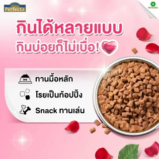 (ล๊อตล่าสุด)Perfecta Soft & Meaty เพอร์เฟคต้า อาหารเม็ดนิ่มสำหรับสุนัข ขนาด 500 กรัม
