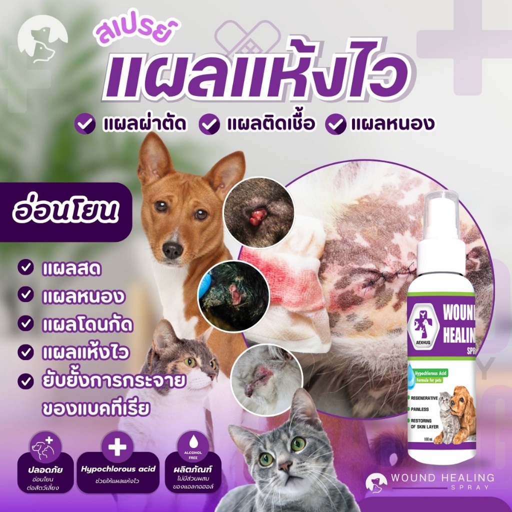 AEXHUQ สเปรย์พ่นแผลสัตว์เลี้ยง สมานเร็ว แห้งไว แผลหมา แมว ทำความสะอาดผิว