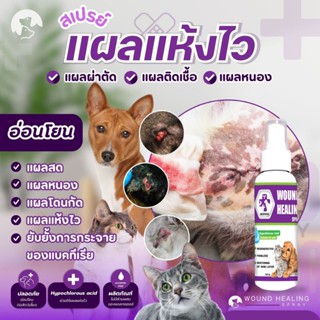 AEXHUQ สเปรย์พ่นแผลสัตว์เลี้ยง สมานเร็ว แห้งไว แผลหมา แมว ทำ…