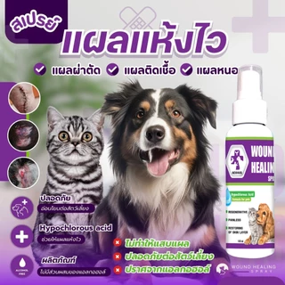 AEXHUQ สเปรย์นาโน พ่นแผลสุนัข-แมว ฟื้นฟูเร็ว สำหรับสัตว์เลี้ยง 100 ml.