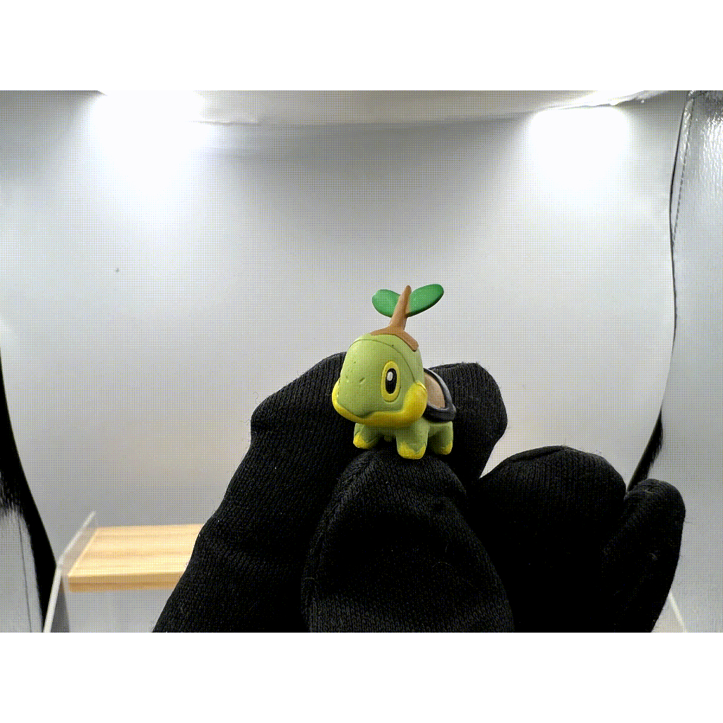 Pokemon Scale World : Turtwig