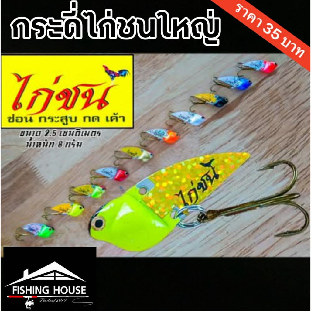 กระดี่ไก่ชน กระดี่ไก่ชน กระดี่ไก่ชนใหญ่ แพ็ค3ตัว