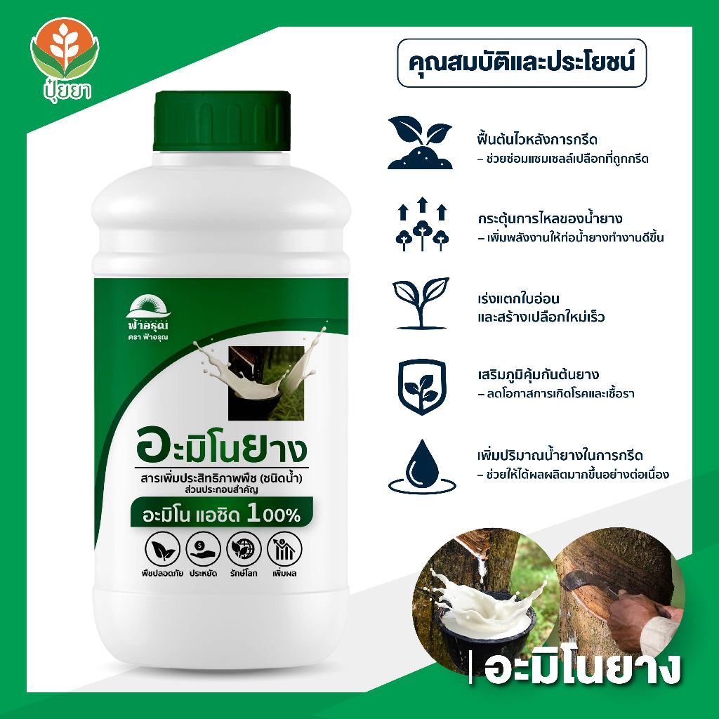 2 แถม 1! อะมิโนยาง (2ขวด) แถมฟรี! อีทีฟอน 500cc ชุดคูณกำไรสวนยาง – บำรุงต้น ฟื้นต้น 2 ขวด แถมฟรีตัวเร่งกรีด! - รูปที่ 2