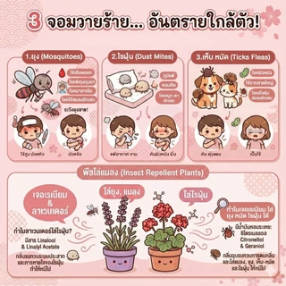 Clean&Clear สเปรย์ไล่ยุง แมลง ไร ฝุ่น หอมผ่อนคลาย ขนาด 10 ml.