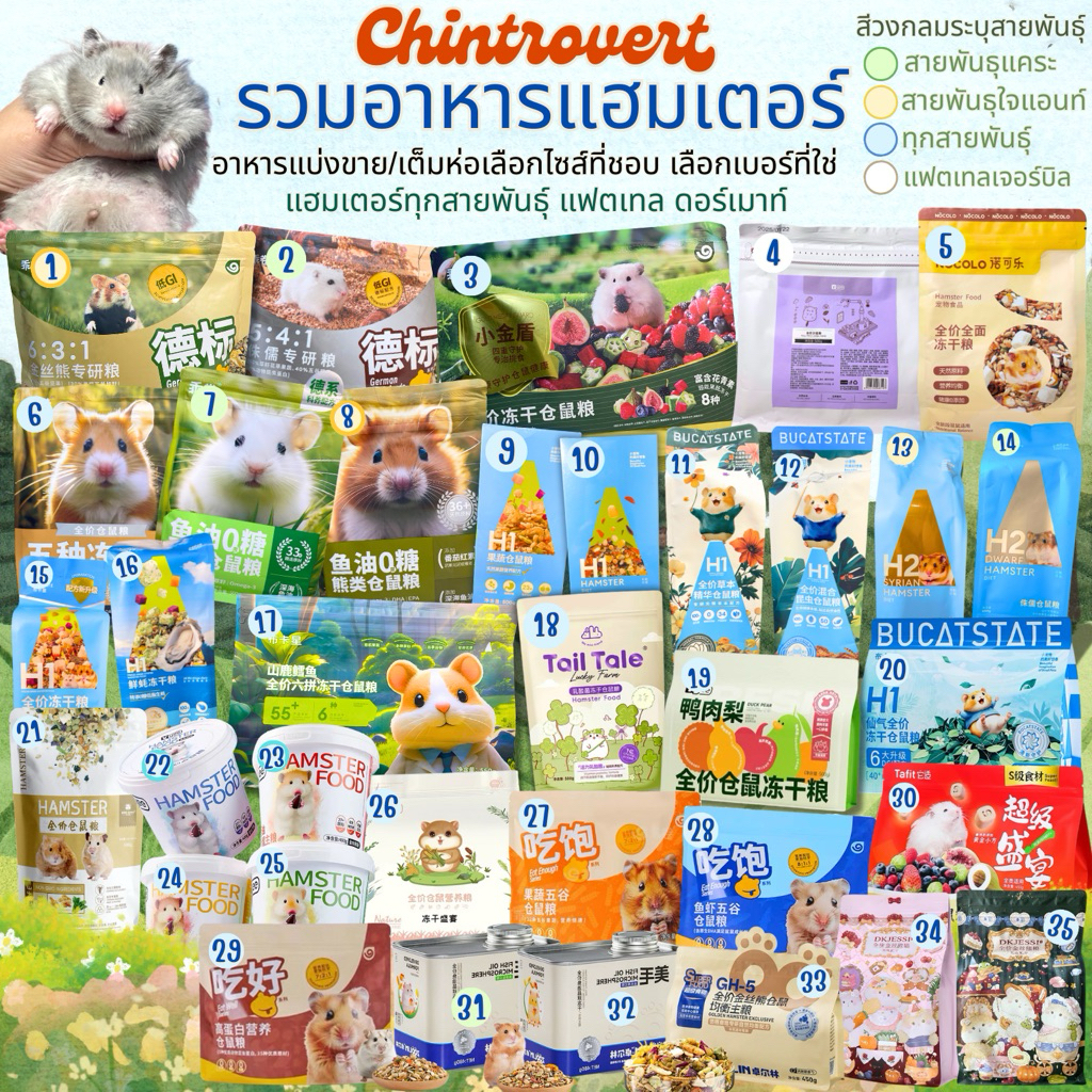 Chintrovert ✨| รวมอาหารแฮมเตอร์ Hamster Foods แบรนด์ดัง โหมด Grains another brand