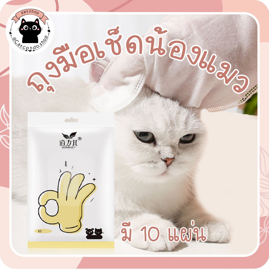 🌵ถุงมือเช็ดน้องแมวแบบเปียก 6-10 แผ่น | สะดวก ใช้ง่าย ไม่ต้องอาบน้ำ ผ้าเปียก เช็ดสัตว์เลี้ยง ทิชชู่เช็ดสัตว์เลี้ยง🌵