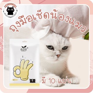 🌵ถุงมือเช็ดน้องแมวแบบเปียก 6-10 แผ่น | สะดวก ใช้ง่าย ไม่ต้องอาบน้ำ ผ้าเปียก เช็ดสัตว์เลี้ยง ทิชชู่เช็ดสัตว์เลี้ยง🌵