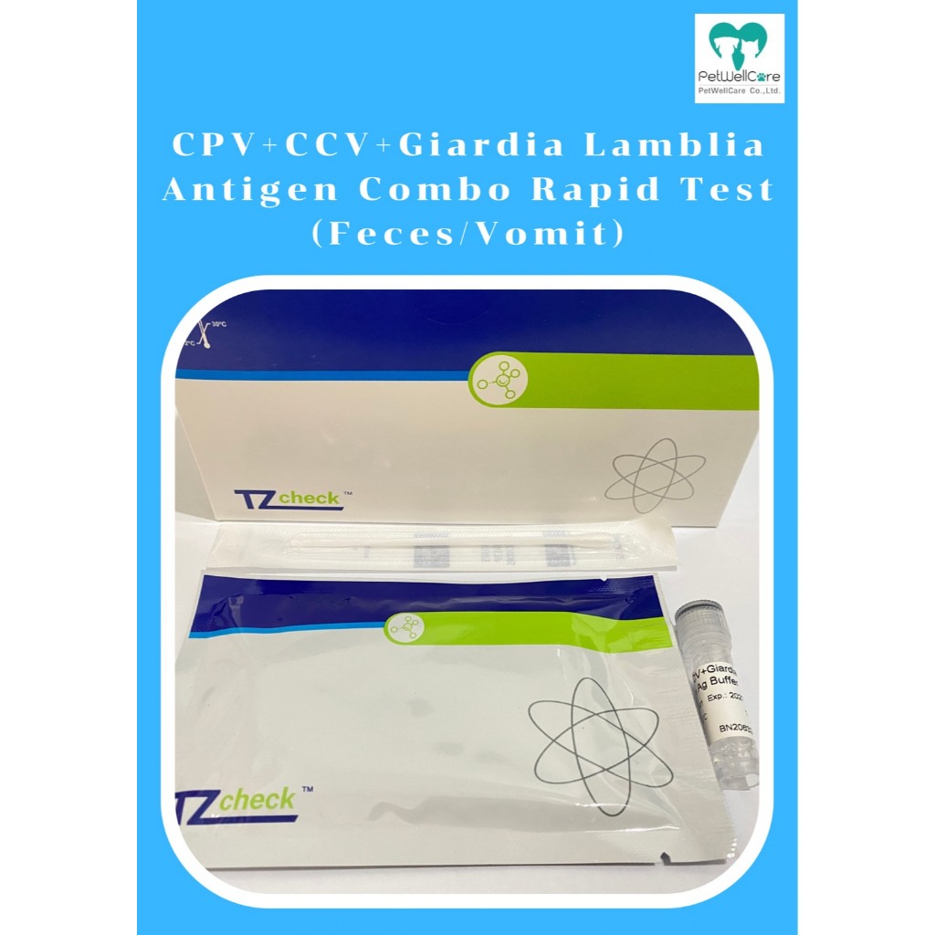 ชุดตรวจโรคลำไส้อักเสบสุนัข พาโวโคโรน่า และเชื้อโปโตซัว CPV+CCV+Giardia Combo Rapid Test แบบแบ่งขาย 1 test