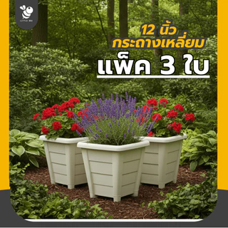 [แบบแพ็ค] กระถางเหลี่ยม 12 นิ้ว แพ็ค 5 ใบ แพ็ค 3 ใบ ดีไซน์สวยมินิมอล เหมาะกับการจัดสวน กระถางกุหลาบ