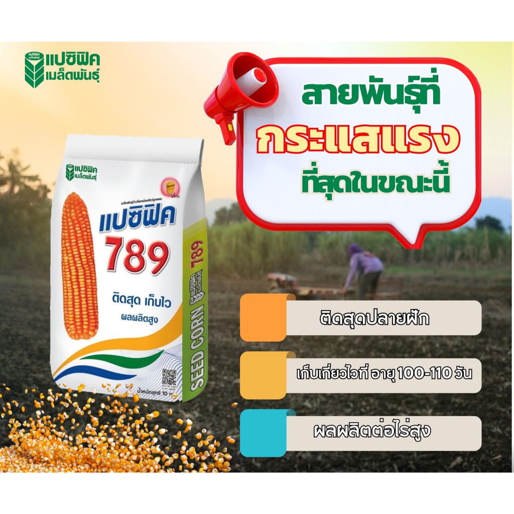 เมล็ดพันธุ์ข้าวโพดเลี้ยงสัตว์ แปซิฟิค 789 3.5 หุน 10 กิโล