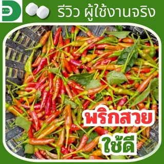 ดี-ไวท์ เม็ดฟู่เทพ กำจัดโรคพืช เชื้อรา แบคทีเรีย โรครากเน่า โคนเน่า โรคพืชทุกชนิด