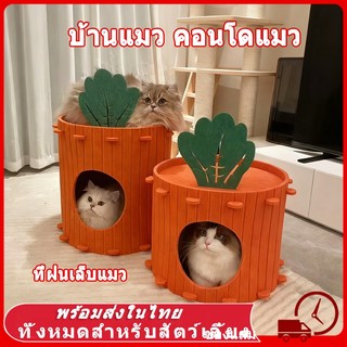 🥕 คอนโดแมว ใหญ่ บ้านแมว 2-3 ชั้น ทรงกระบอก ดีไซน์ญี่ปุ่น สไตล์มินิมอล ตึกแมว มีรู ปีนเล่นได้ วัสดุสักหลาด ที่ฝนเล็บแมว