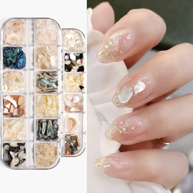 เครื่องประดับเปลือกหอย อุปกรณ์ตกแต่งเล็บ คริสตัล 3D ทรงพิเศษ Diy 12ช่องมี สำหรับติดตกแต่งเล็บ