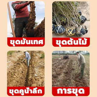 พลั่วเหล็ก เสียมขุดดิน เหล็กแมงกานีส ใช้งานได้หลากหลาย วัสดุหนา แข็งแรง ทนใช้ การออกแบบเหยียบ