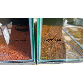 ทรายแดงรูบี้สำหรับรองพื้นตู้ปลา (1 kg)