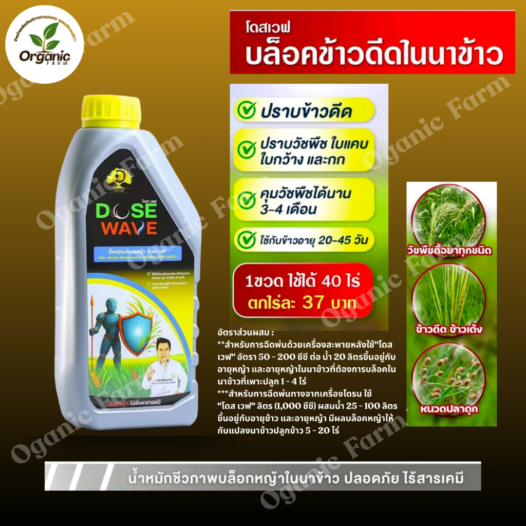 โดสเวฟ/ DOSE WAVE สำหรับ : กำจัดหญ้าในนาข้าว