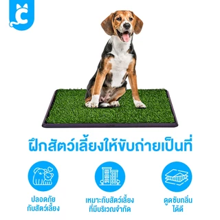 [ส่งฟรี🇹🇭] CleverPet ห้องน้ำสุนัข Pet Potty แผ่นซับฉี่สุนัข ถาดฉี่ แผ่นฉี่สุนัข Dog Pee Pad