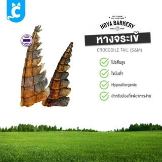 [ส่งฟรี🇹🇭] Hoya Barkery ขนมสุนัข ขนมแทะ ขัดฟัน หางจระเข้ เนื้อจระเข้อบแห้ง Dog Treat CleverPet
