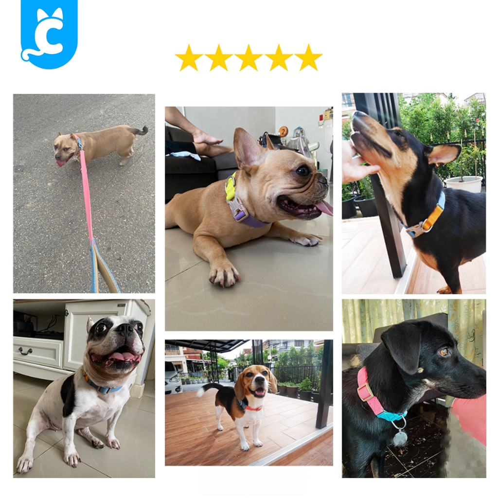 [ส่งฟรี🇹🇭] Doglemi ปลอกคอสุนัข สีพาสเทล ปลอกคอแมว สายจูงสุนัข สัตว์เลี้ยง Dog Collar CleverPet รูปที่ 6