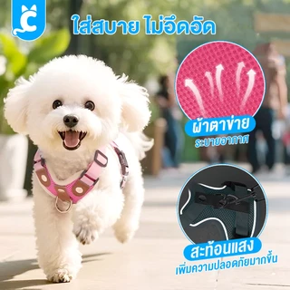 [ส่งฟรี🇹🇭] DUOMM สายรัดอกสุนัข แมว เสื้อรัดอกหมา ระบายความร้อน สะท้อนแสง ฟรีสายจูง Dog Harness Cleverpet