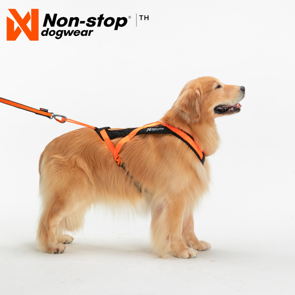 Non-stop dogwear Rush Harness สายรัดอกสุนัขรุ่นรั้ช