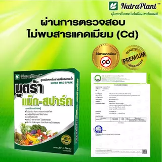 นูตร้าแม็ก-สปาร์ค (กล่อง 100กรัม*10ซอง) แม็กนีเซียมเข้มข้น ช่วยทำให้ใบเขียวสังเคราะห์แสงได้ดี เร่งทำใบแก่เพื่อสะสมอาหาร